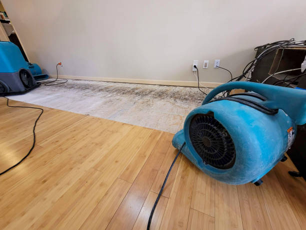 Reliable Flood Damage Restoration contractor in Farmersville, CA by Hirex Water Damage