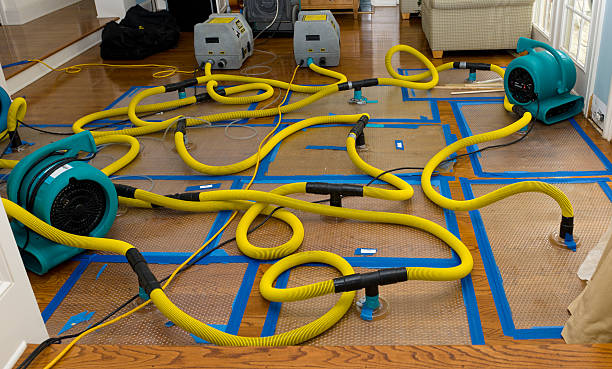 Professional Flood Damage Restoration technician working in Farmersville, CA
